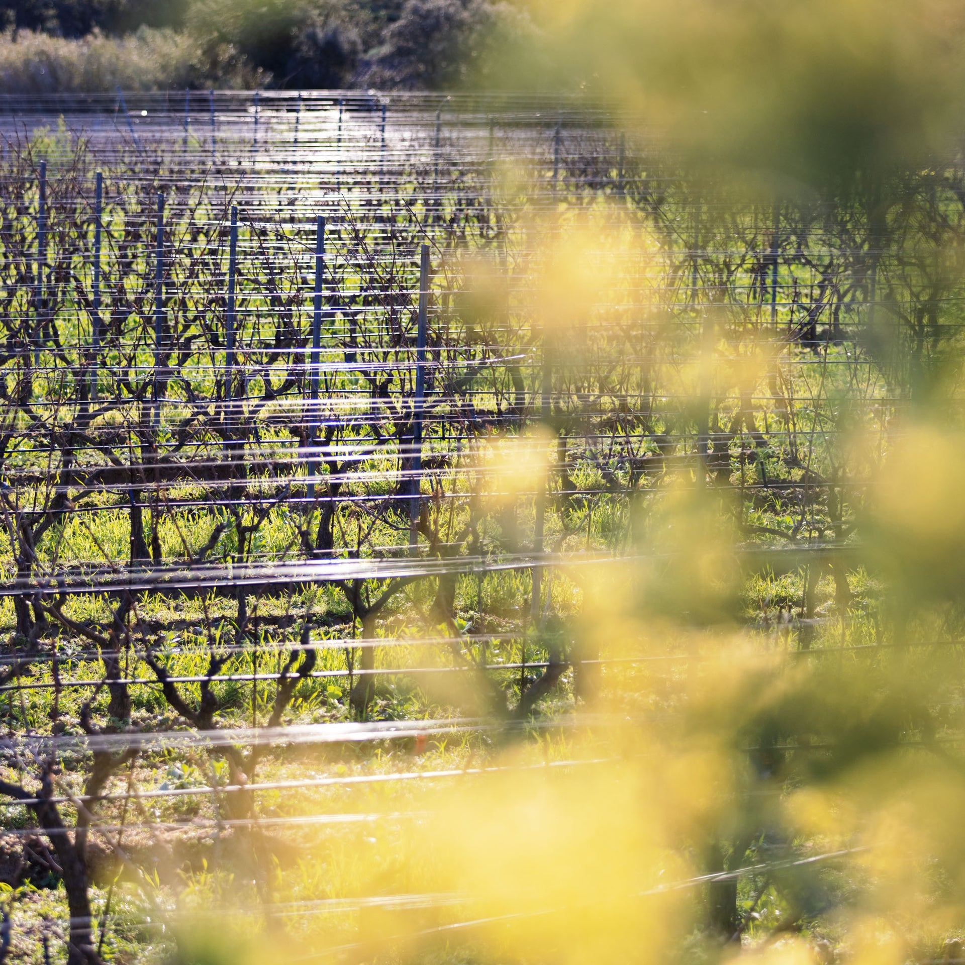 Visuel éditorial Minuty