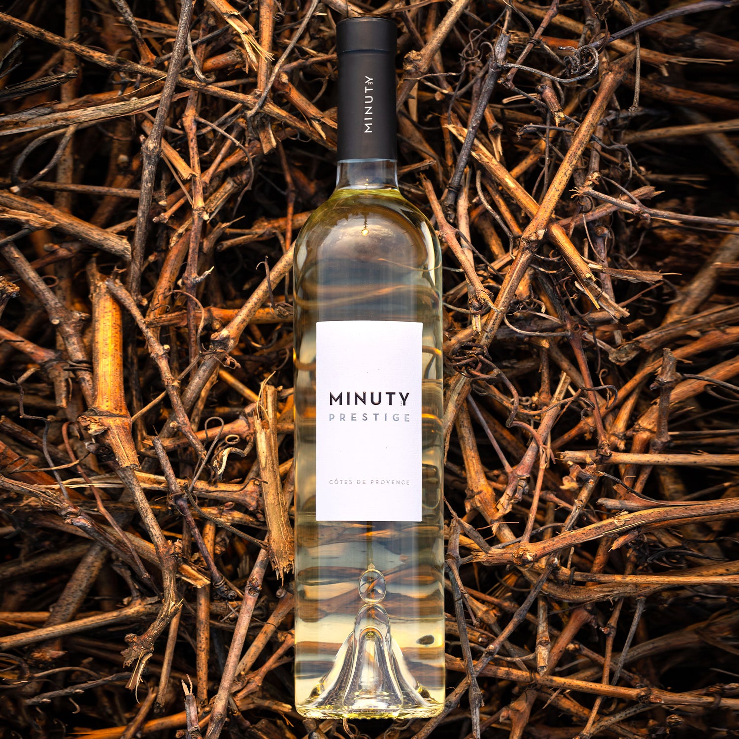 Visuel éditorial Minuty