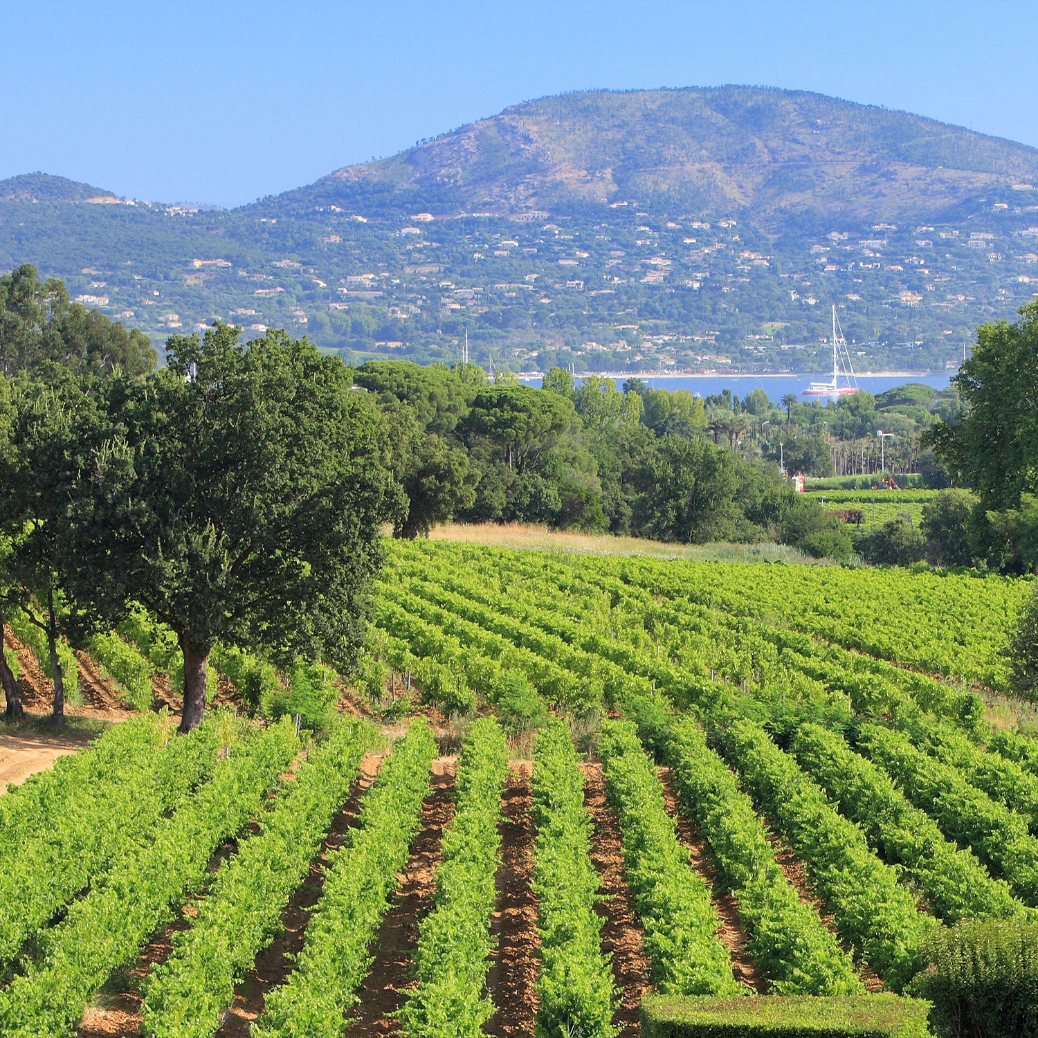 Visuel éditorial Minuty