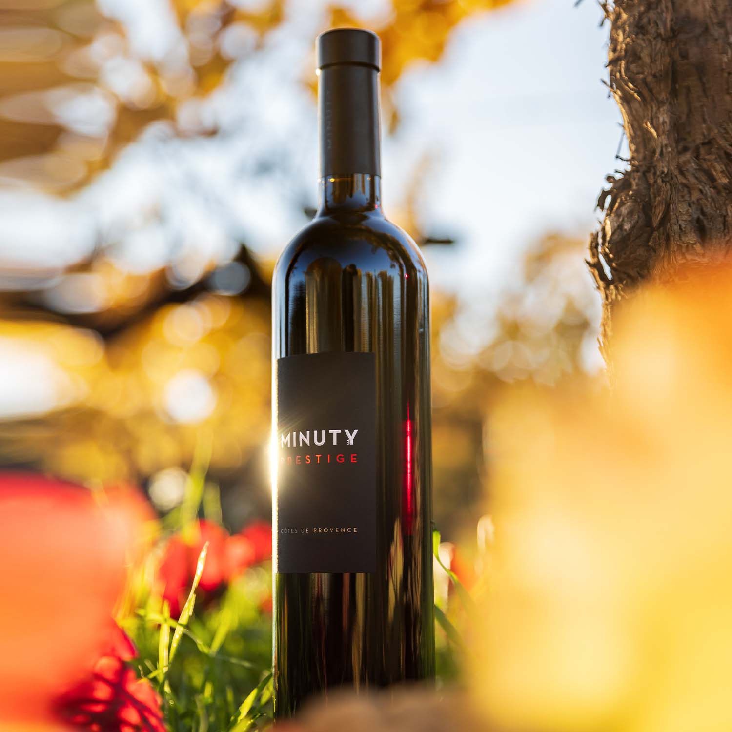 Minuty Prestige Rouge